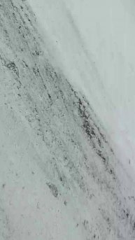 день рождения