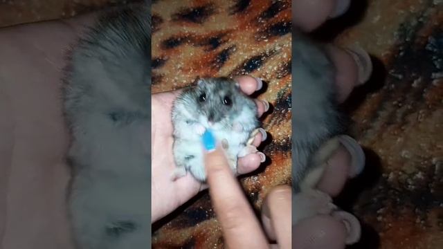 1000000756.mp4
