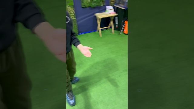 Выставка тропических бабочек и насекомых 🦋🦋🦋