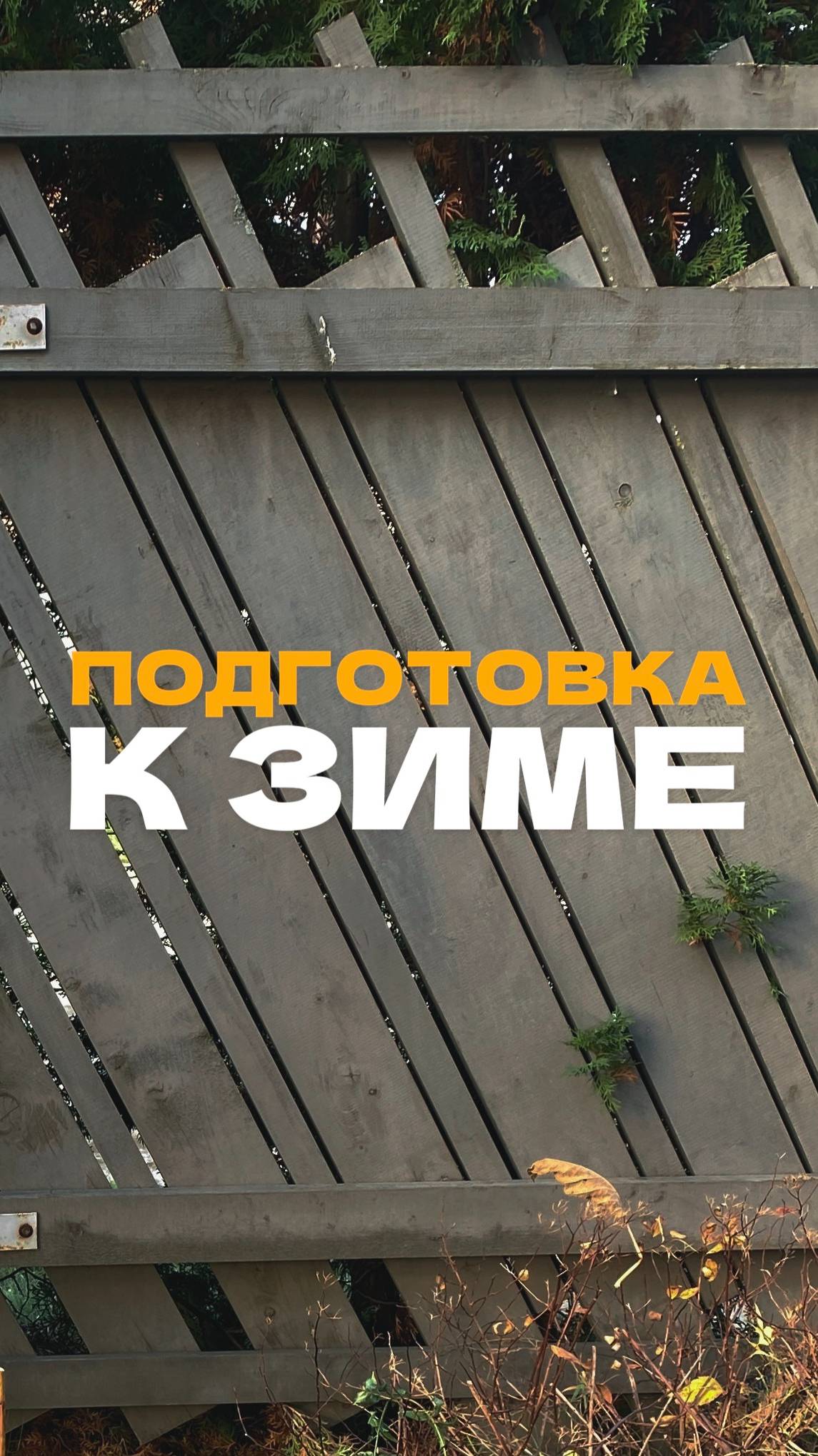 Подготовка сада к зиме
