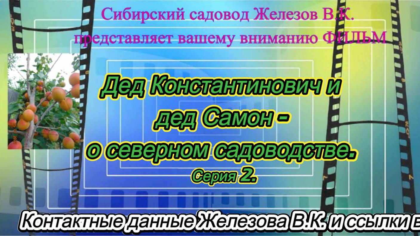 Дед Константинович и дед Самон - о северном садоводстве. серия 2