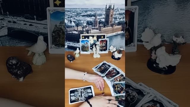 МЫСЛИ🤔
ЧУВСТВА💜👫💜
ДЕЙСТВИЯ💌✍💍
ИНФОРМАЦИЯ С ПОТОКА☝🏻
СОВЕТ ТАРО🕊