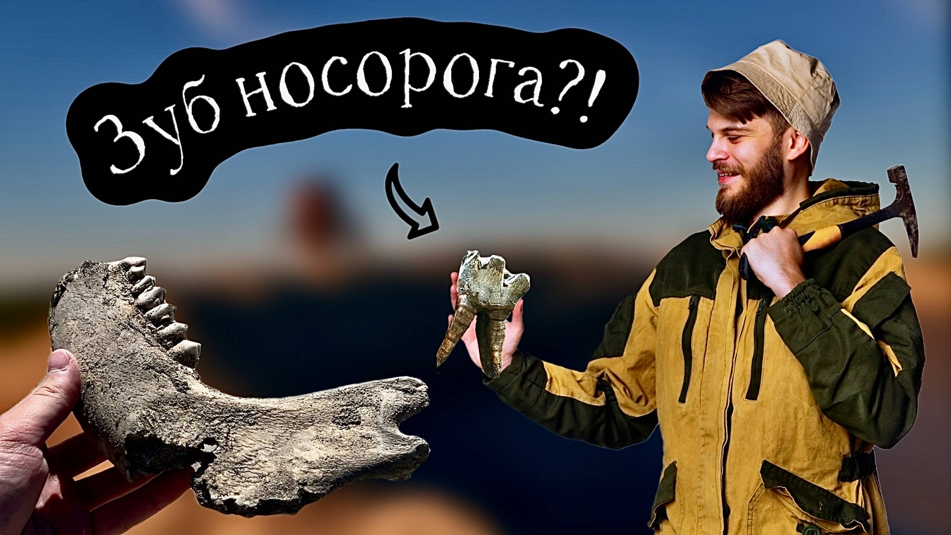 Окаменелости из ЛЕДНИКОВОГО ПЕРИОДА! Поиск костей МАМОНТА и мамонтовой мегафауны!