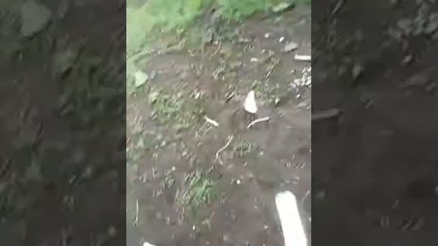 Бутылка воды челендж