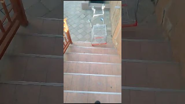 жосткий экшен