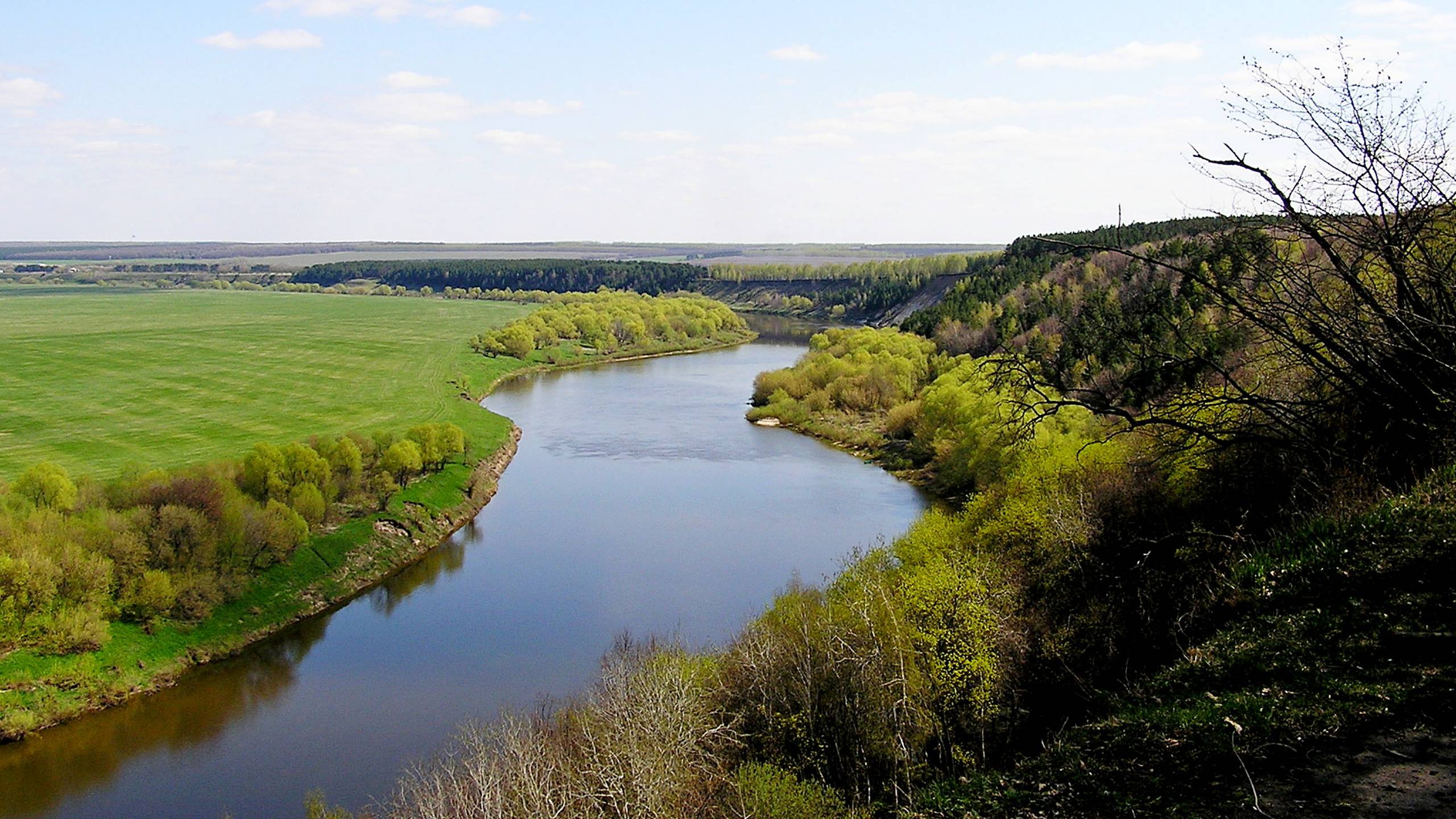 Кривоборье.