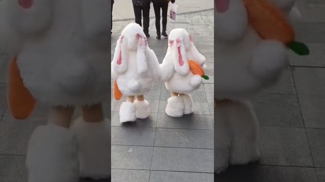 милота....
