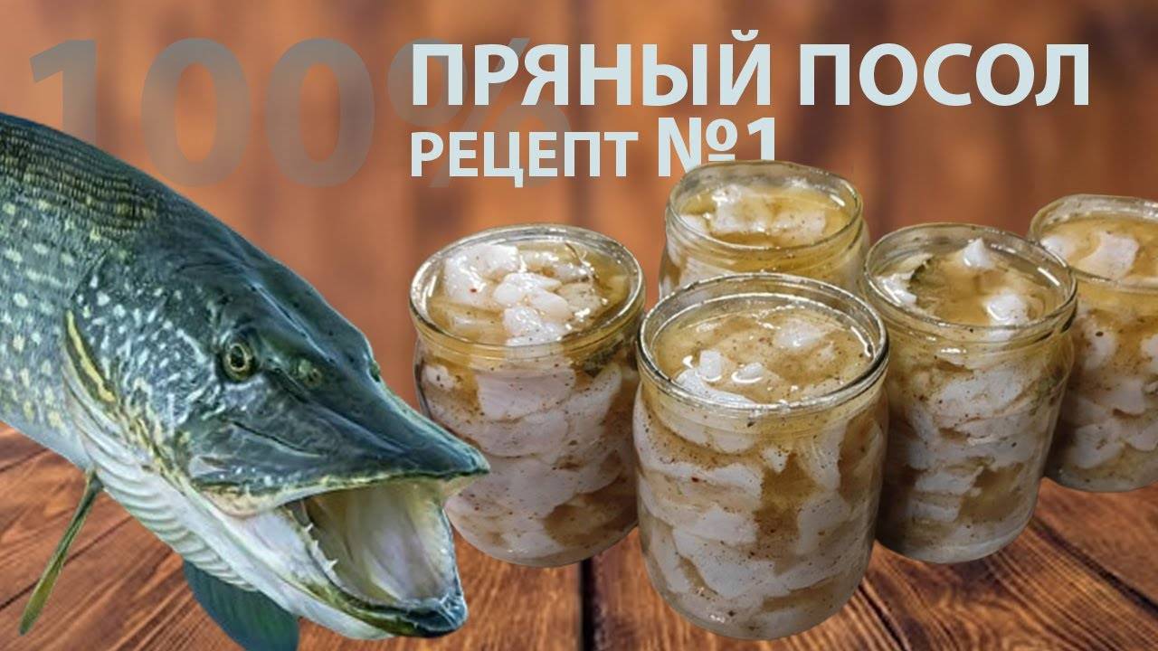 Как приготовить щуку в пряном посоле. Очень вкусный рецепт из щуки
