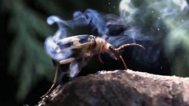 Самые противоречивые личности в области науки.