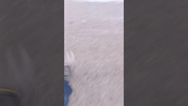 scene_output.mp4