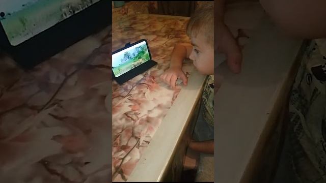 в 4 года уже интересуется такими передачами