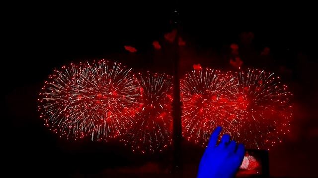 Круг света 2017