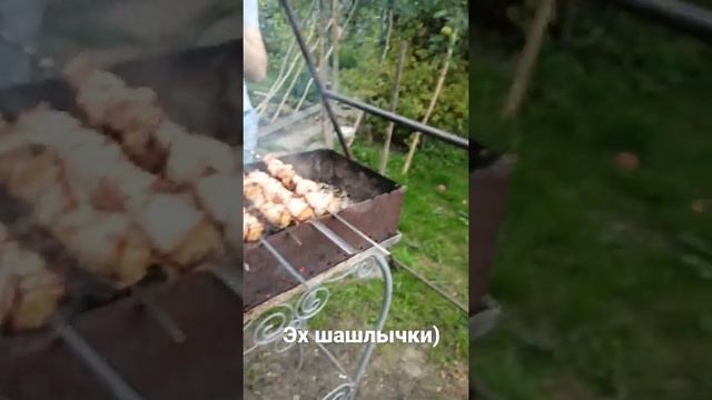 Шашлык из свинины | Отдых