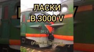 Ласки в 3000 вольт