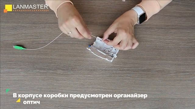 Бокс для установки на DIN-рейку на 2 адаптера SC