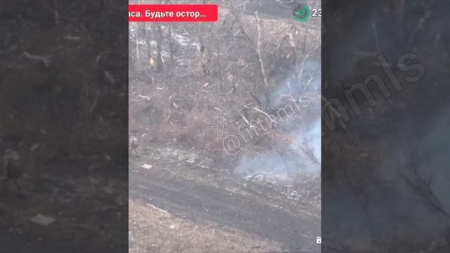 🔴Наш боец успешно сбил палкой вражеский ФПВ и спокойно ушёл обратно в блиндаж🔴✌🇷🇺✌