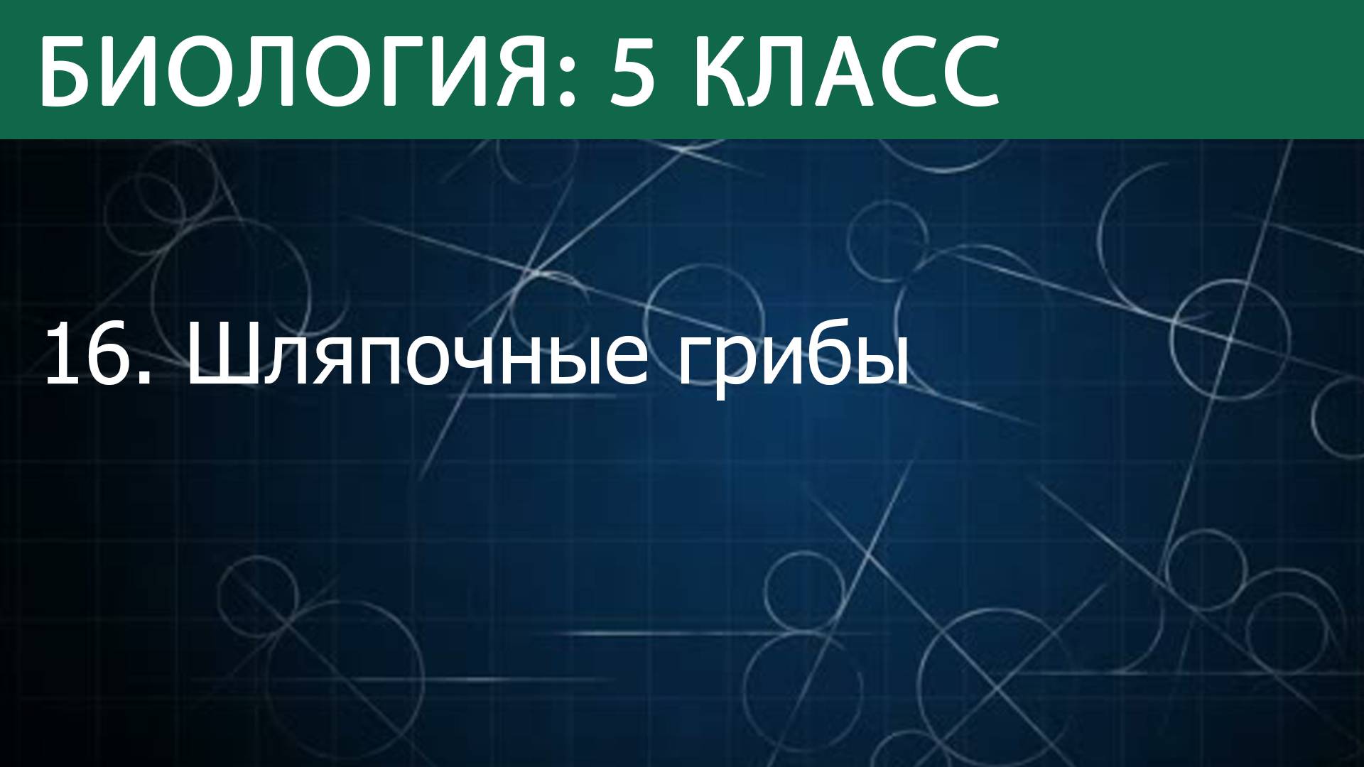 Биология 5 класс: Шляпочные грибы