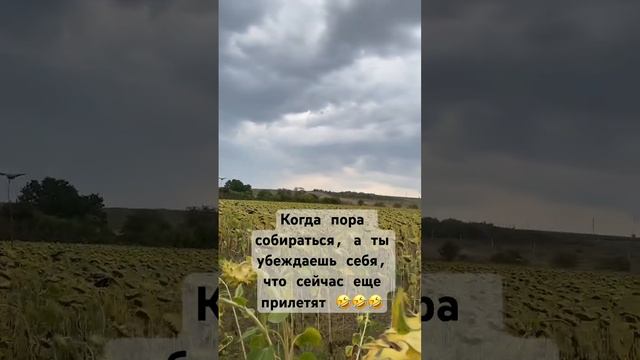 Хоть заубеждайся  #duckhunting #природа #motivation #вяхирь #охотанавяхиря