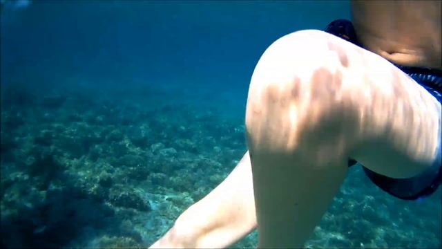 Snorkelen in Rovinj, Kroatië