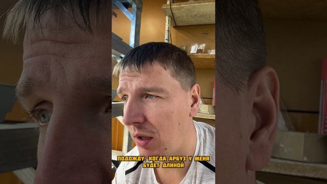 Арбуз растет не по дням, а по часам