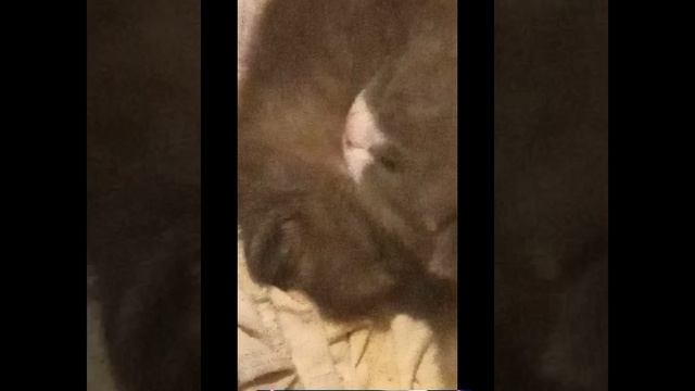 1000031015.mp4