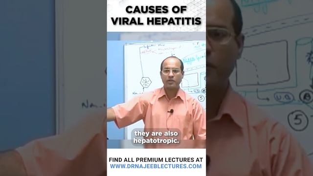 Causes of viral hepatitis #drnajeeb #shortvideo #hepatitis_treatment