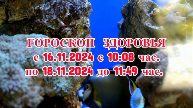 «ГОРОСКОП ЗДОРОВЬЯ с 16 по 18 НОЯБРЯ 2024 года!»