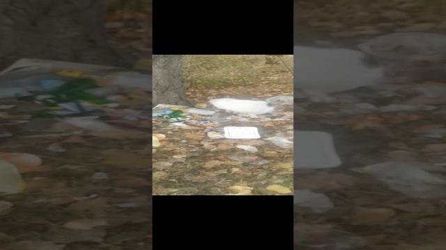 VID_20241115_122456.mp4