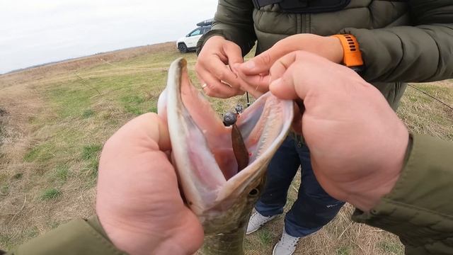 ДЕ СТОЇТЬ ЩУКА У ЛИСТОПАДІ? Знайшли ЗАЧАРОВАНІ КОРЧІ, а там ВСЯ РИБА! Рибалка на щуку на Десні