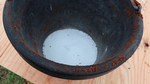 War On Fire Ants | Kill Fire Ants Organically