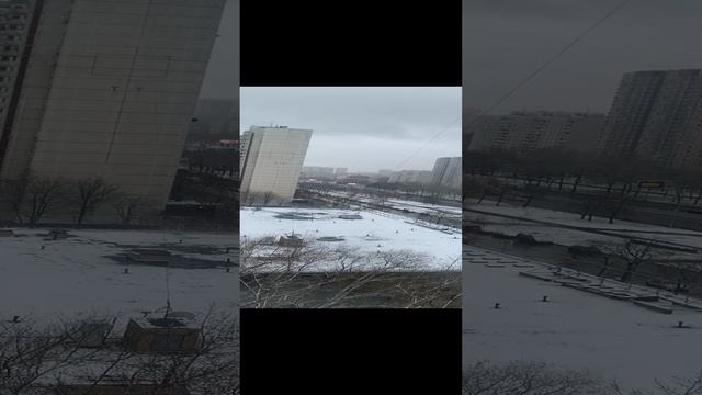 Зима в Алтуфьево 15-я ноября