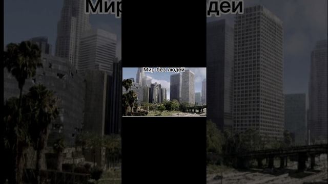Хотел ли ты жить в таком мире?