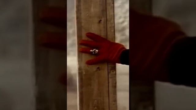 Любовь и смерть
