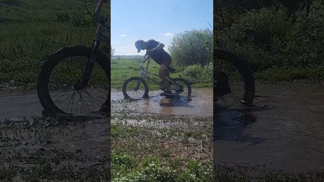scene_output.mp4
