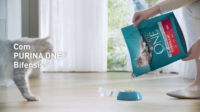 Purina ONE | Mantenha o seu gato esterilizado com um Sistema Urinário Saudável