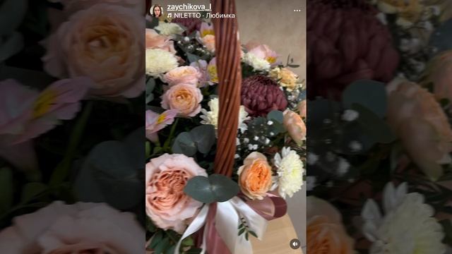 ‼️Лови ПОДАРОК 🎁 Ссылка в описании