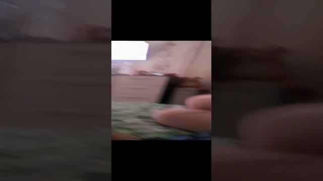 1000022333.mp4