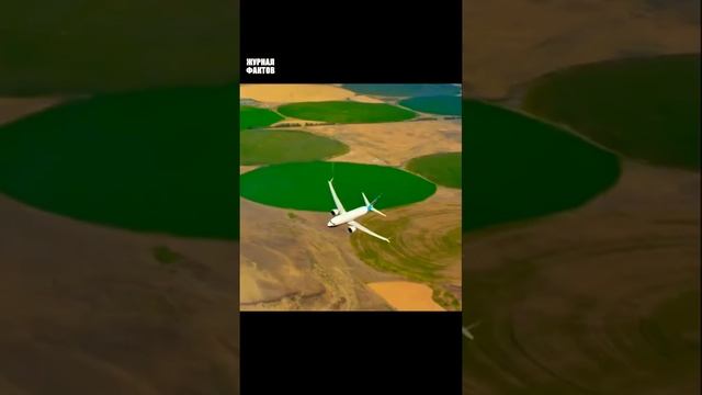 Boeing 737 MAX - один из лучших пассажирских самолетов в своем классе #shorts