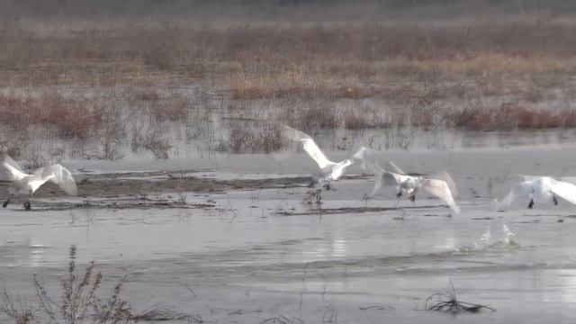 Наконец то открытая вода. Рыбалка в Астрахани