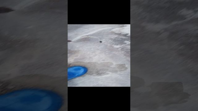 VID_20241116_145521.mp4
