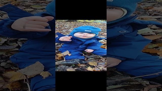 Листочки 🍂🙂