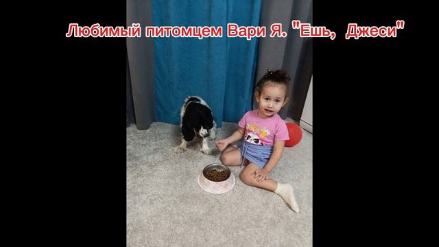 Проект "Домашние животные "