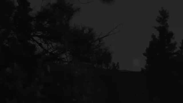 The Animal Warfare Act - Hecate's Trance (Music Video)