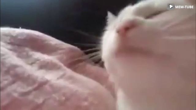 жосткий флекс