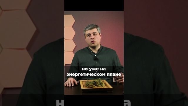 Что такое Артыш?