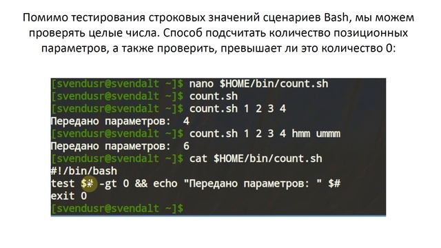 Условия в Bash (if, else, ||, &&, test)