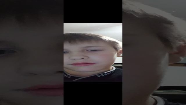 мне купили собаку!