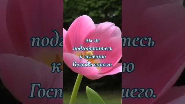 Эллен Уайт о Боге, спасении и вечности: Вы не подготовитесь к явлению Господа нашего, пока...
