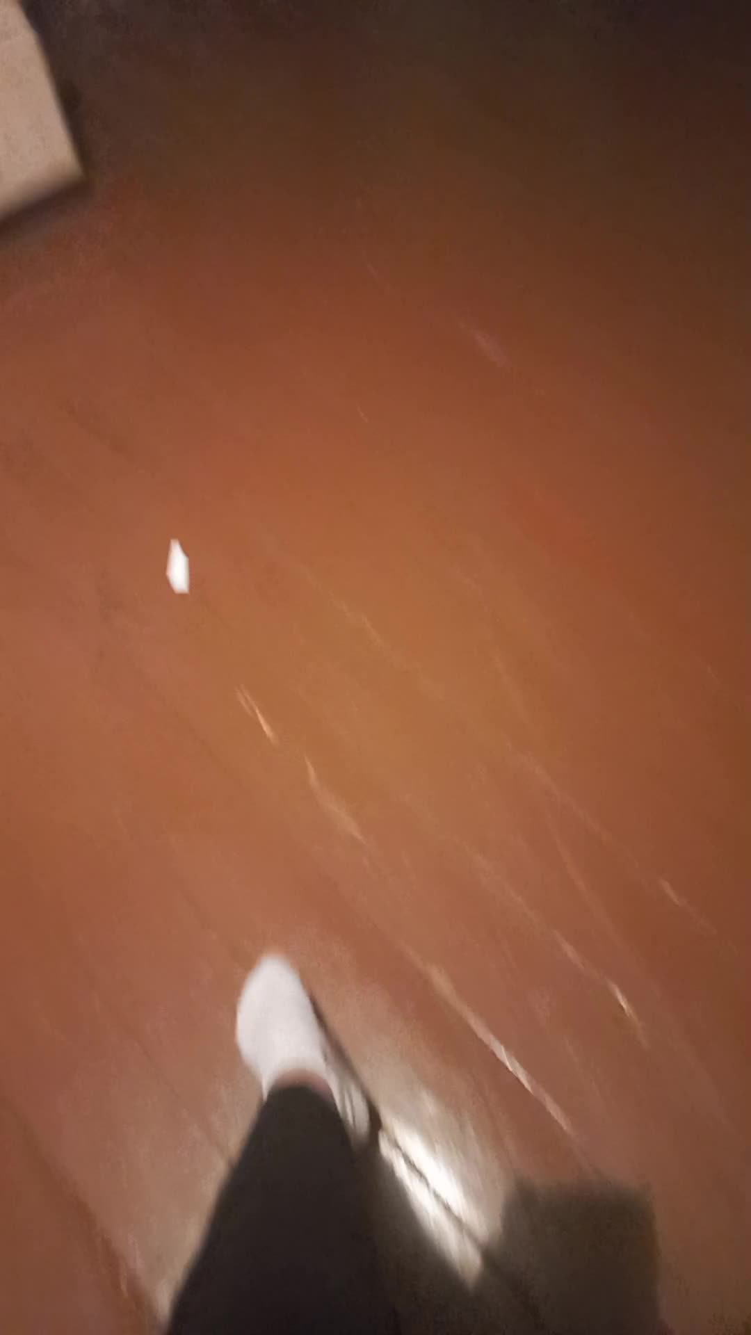 феи