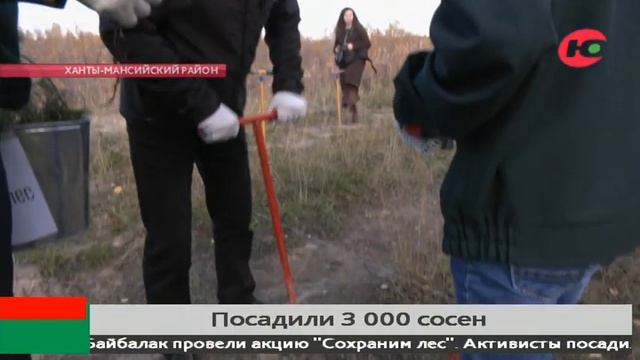 Акция «Сохраним лес» 2022